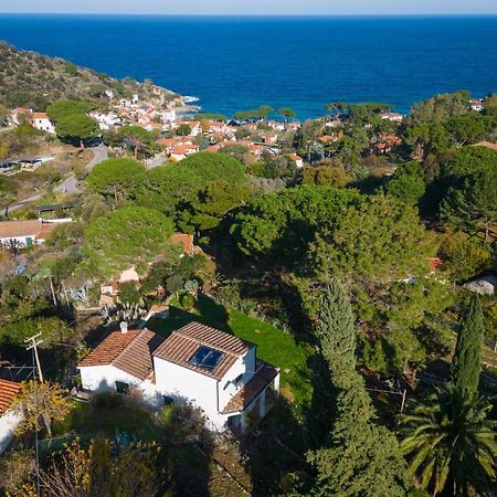 Villa Caterina Quiete E Mare-Goelba Sant'Andrea  Exterior photo