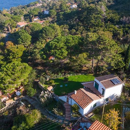 Villa Caterina Quiete E Mare-Goelba Sant'Andrea  Exterior photo