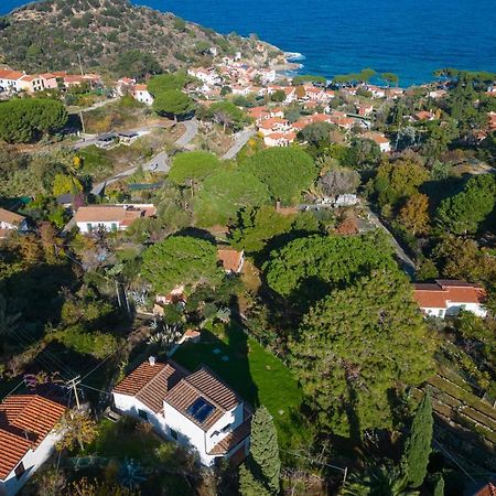 Villa Caterina Quiete E Mare-Goelba Sant'Andrea  Exterior photo