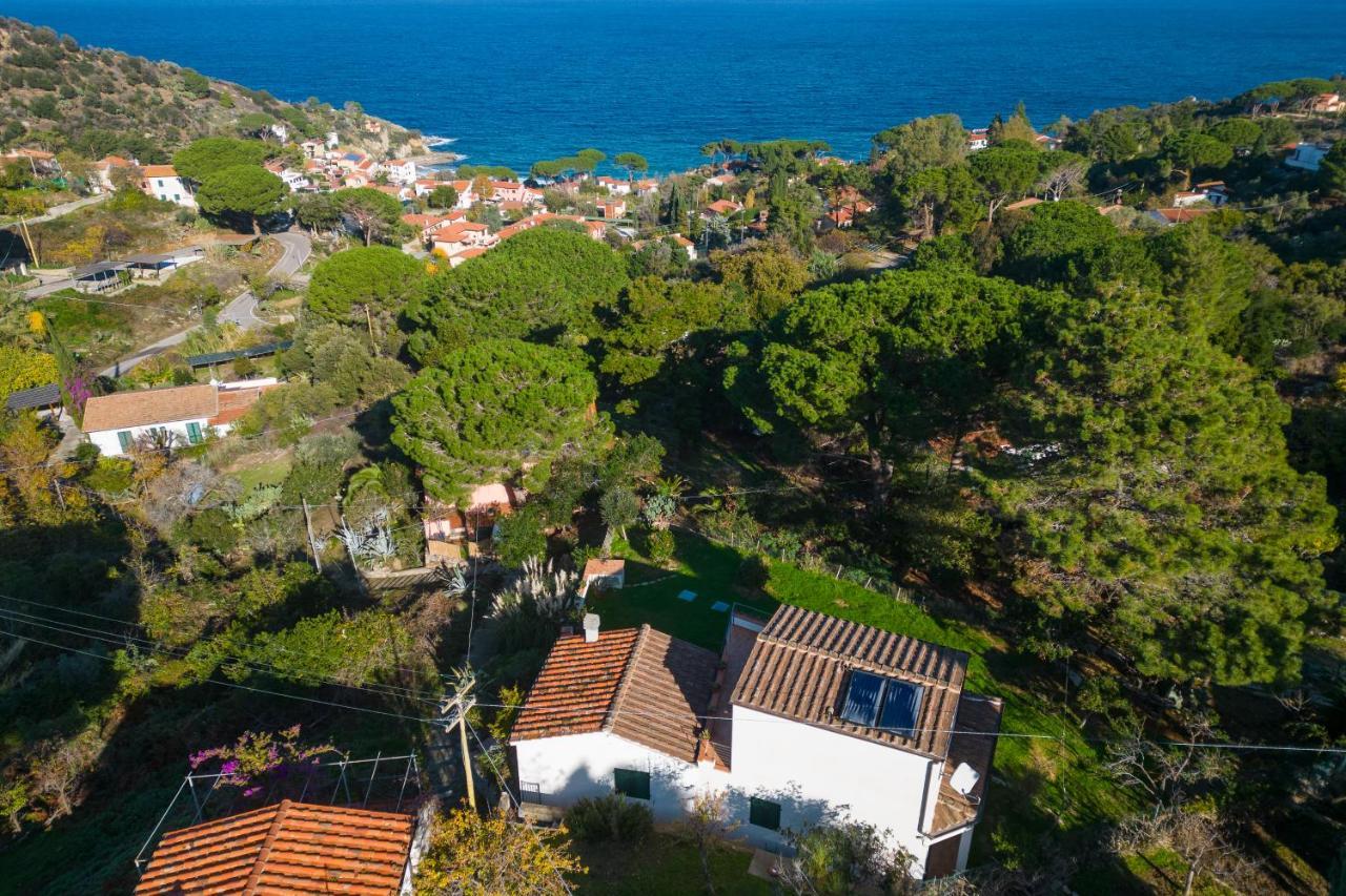 Villa Caterina Quiete E Mare-Goelba Sant'Andrea  Exterior photo